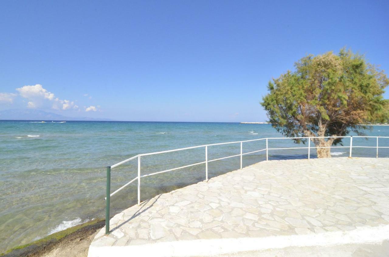 Oasis Beachfront Studios & Apartments, By Zantewize Alykanas  Exterior photo